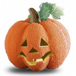 ZUCCA RUGOSA CON LUCE (BATT. INCL.) DIAM