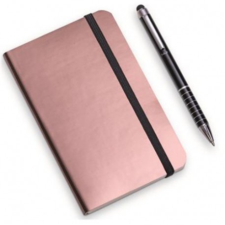 SET NOTES METALLIC+PENNA - 61582