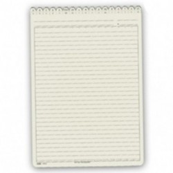 SCHEDE A RIGHE CON RUBRICA 24X17 100PZ