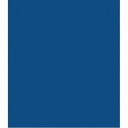 CARTONCINI PER RILEGATURA A4 240GR BLU