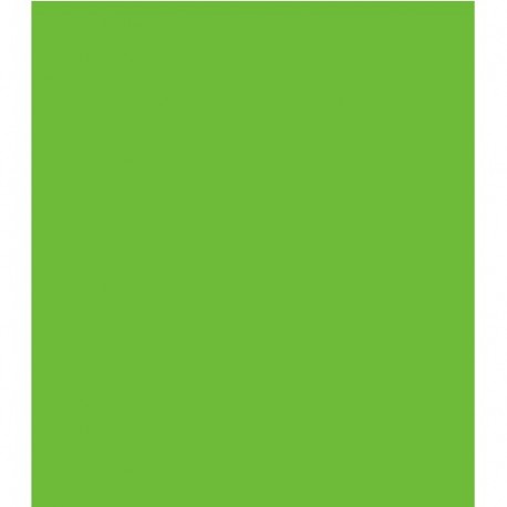CARTONCINI PER RILEGATURA A4 240GR VERDE