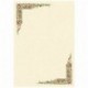 CARTA DIPLOMA PERGAMENA DEC. LRDY FLOWER