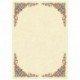 CARTA DIPLOMA PERGAMENA DEC.ROCOCO