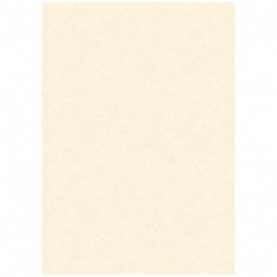 CARTA DIPLOMA PERGAMENA NEUTRA