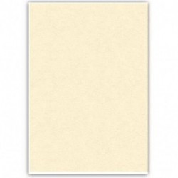CARTA DIPLOMA PERGAMENA NEUTRA