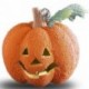 ZUCCA RUGOSA CON LUCE (BATT. INCL.) DIAM