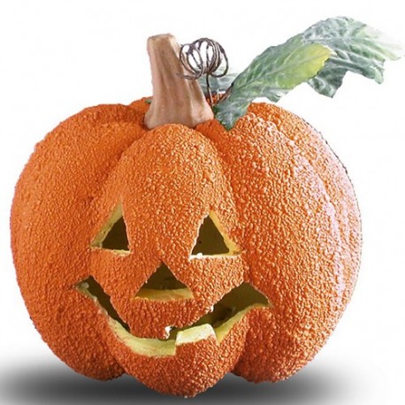 ZUCCA RUGOSA CON LUCE (BATT. INCL.) DIAM