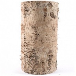 TRONCO DI BETULLA NATURALE GRANDE