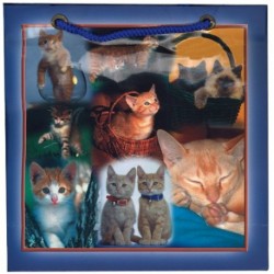 BORSA IN CARTA 16,5X16,5X6CM GATTI -