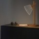 LAMPADA LED DA ARREDO WOOD LIGHT