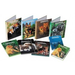 CARTELLINA C/ELASTICO 3L SOFT TOUCH