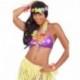 SET HAWAII  - 04620