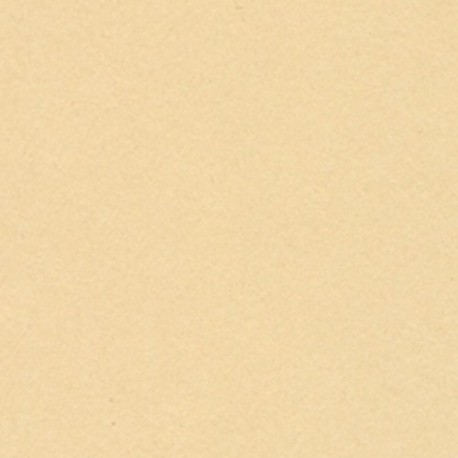 CARTONCINI FABRIANO LR 50X70 PANNA