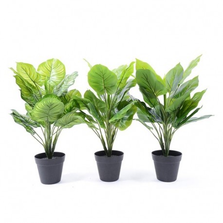 PIANTA VERDE IN VASO 2 FOGLIE 45CM -