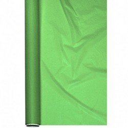 BOBINE DECOR HD F/P 2 LATI 1X20M VERDE