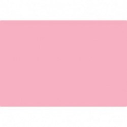 CARTA VELINA 50X76 ROSA 24 PZ