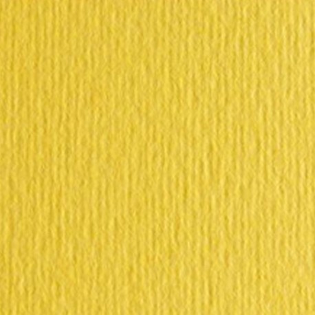 CARTONCINI FABRIANO LR 50X70 CEDRO