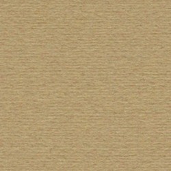CARTONCINI FABRIANO LR 50X70 AVANA