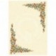 CARTA DIPLOMA PERGAMENA DEC. RINASCIMENT