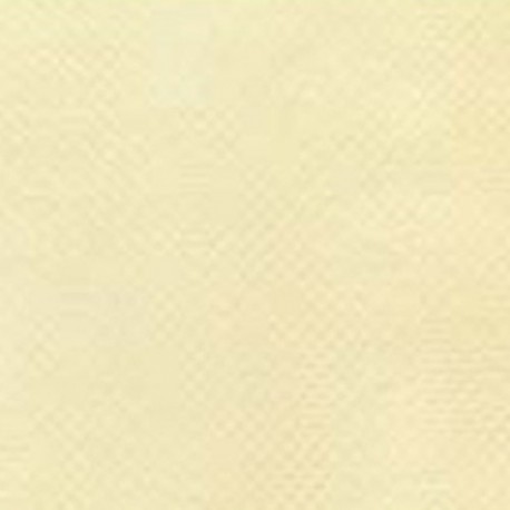 BUSTA ETOFFE TNT 25X40 AVORIO