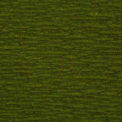 ROTOLO CARTA CRESPA 60GR VERDE MUSCHIO