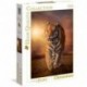 CLEM PUZZLE 1500 HQC TIGER - 31806.3