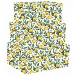 SET 3 SCATOLE LEMON TREE - 12149000