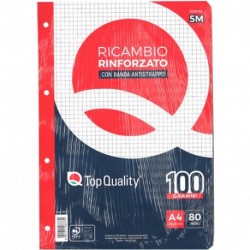 RICAMBIO TQ RINFORZATO 100GR 10MM A4 F40