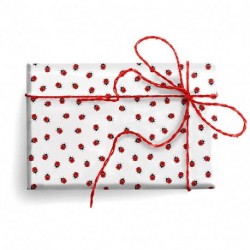 FOGLIO CARTA REGALO 70X100 COCCINELLE