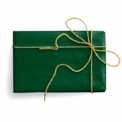 CARTE REGALO PIEGATA KRAFT VERDE