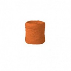 NASTRO RAFIA 50M ARANCIO - 54011320531