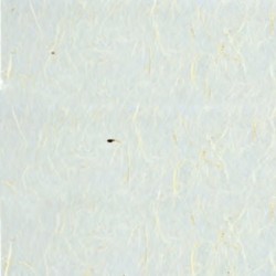 CARTA DI RISO 70X100 25GR NATURALE -