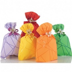 BUSTA REGALO 20X32 SEGMENTS -