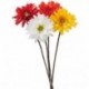 GERBERA 72CM - 20811