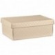 SCATOLA F/C EASY 300X230X110 MAT.NUDO