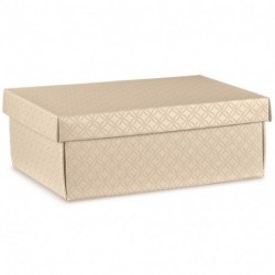 SCATOLA F/C EASY 300X230X110 MAT.NUDO