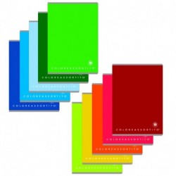 MAXI 80GR 4F COLORXYOU - 10031