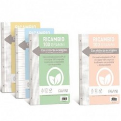 RICAMBIO RINFORZATO BIO RIG. C 100GR A4