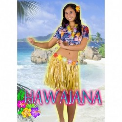 HAWAIANA COSTUME - 62080