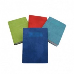 AGENDA 25 GIORN 10,5X14,8 WALL - 206TF99