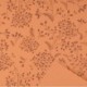 FOGLI CARTA REG. HYPERIC.100X130CM/25PZ