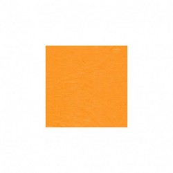 CARTA DI GELSO PAPETTERIE 70X100 25GR