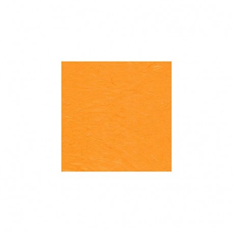 CARTA DI GELSO PAPETTERIE 70X100 25GR