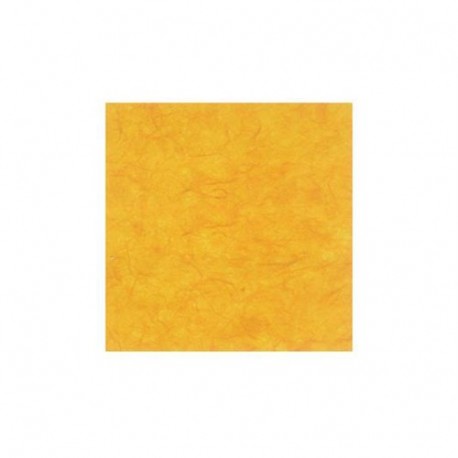 CARTA DI GELSO PAPETTERIE 70X100 25GR
