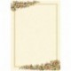 CARTA DIPLOMA PERGAMENA DEC. FIRENZE