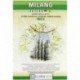 PIANTA MILANO 1:18500 G.M.