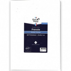 QUOVADIS 25  RICAMBIO AGENDA SETT