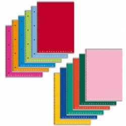 MAXI 4MM SPIRALATO FORATO COLORXYOU 60F