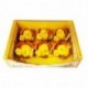 PULCINI CON NIDO/6PZ  - DS 26538