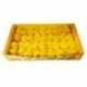 PULCINI 4,5CM/36PZ  - DS 26543